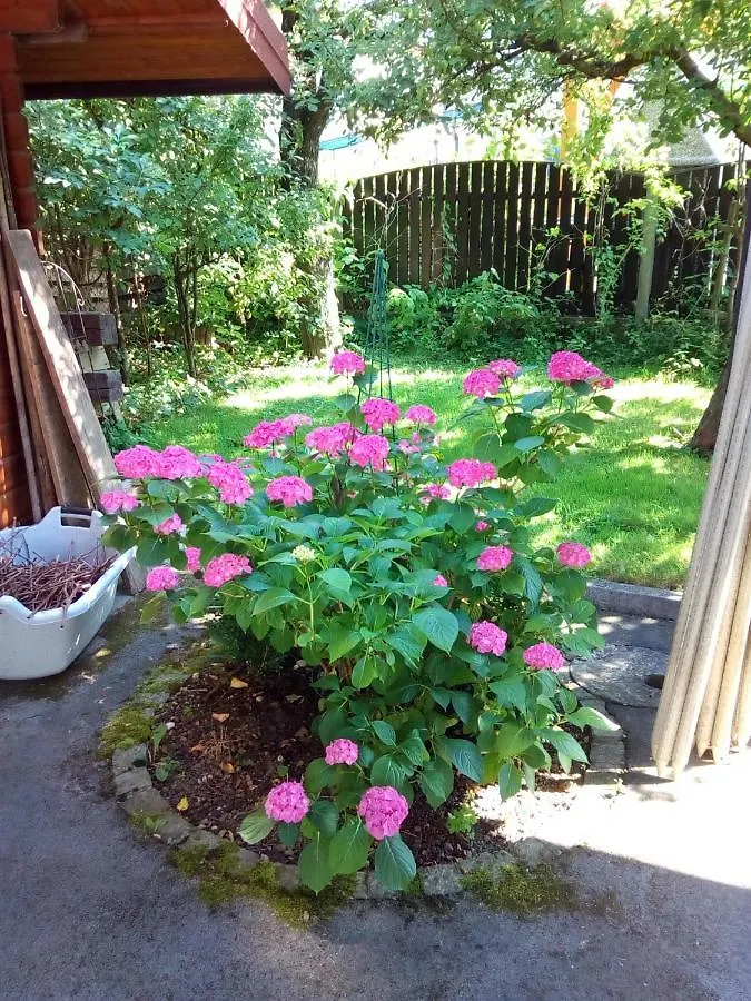Vila Bbq Ljubljana Apartman